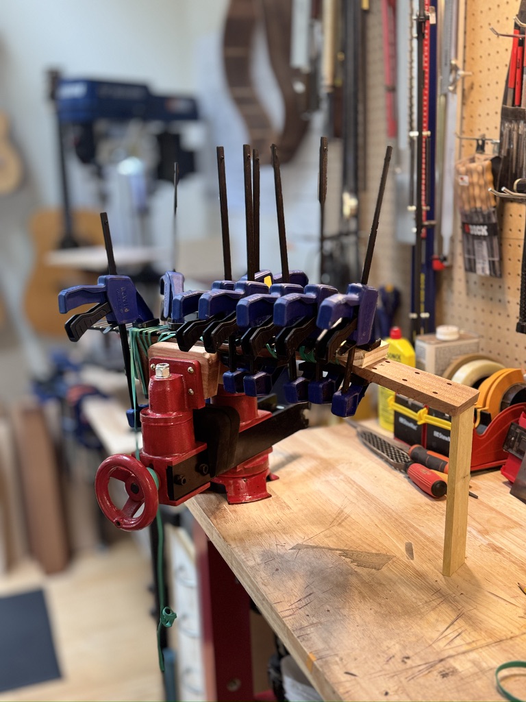 Kerfing clamped — a forest of blue Irwin clamps press the linings into the rim