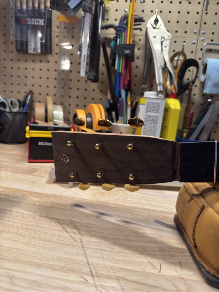 Headstock with gold Waverly tuners, low-angle bench view